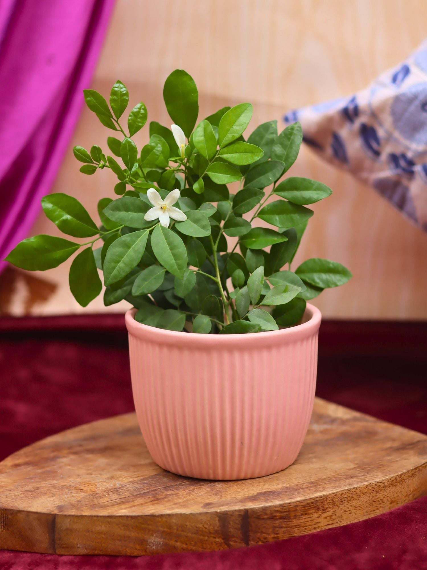 Mellow Pink Planter handmade in India