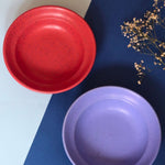 Set of 2 - Deep Red & Matte Blue Pasta Plate handmade in india