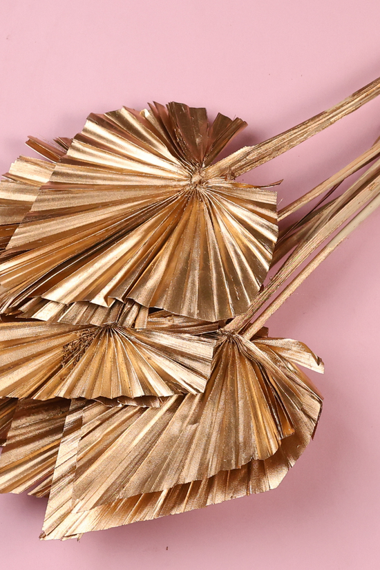 Golden palm dried bunch