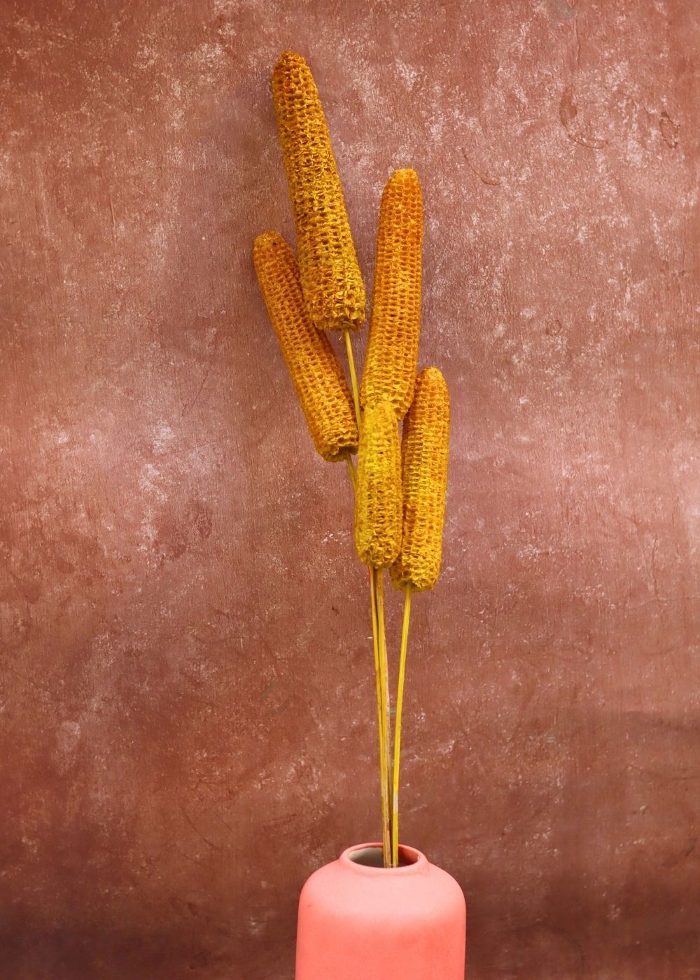Yellow Corn Bunch with premium quality material
