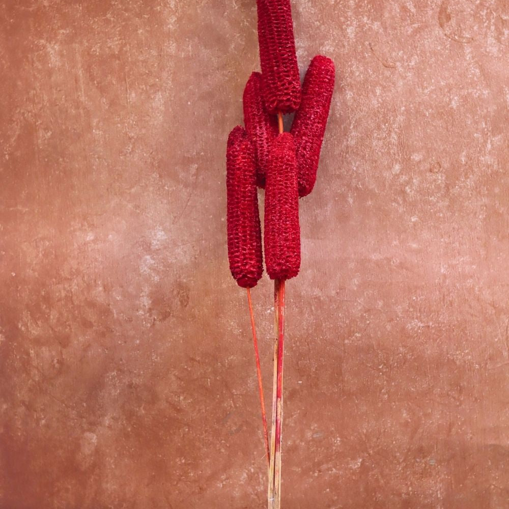 handmade Red Corn bunch