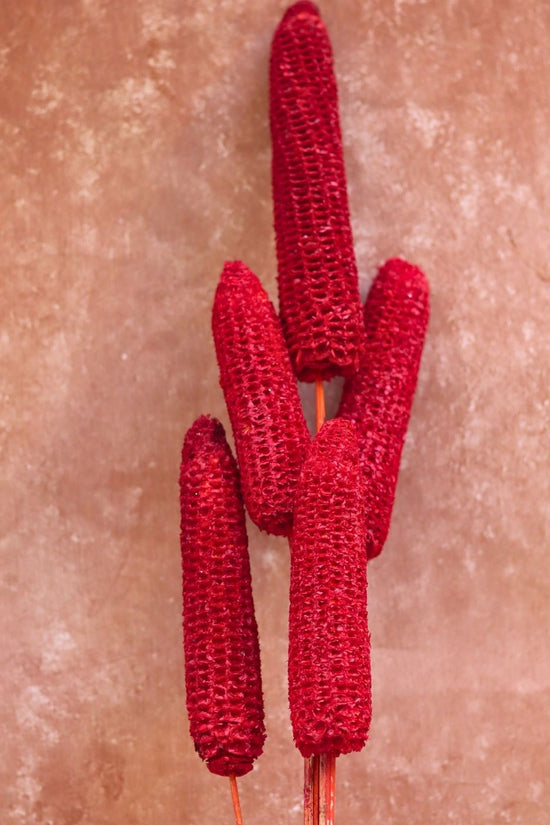 Red Corn bunch for your home decor