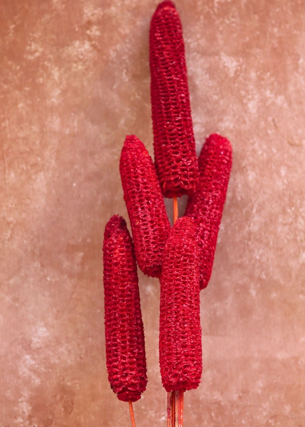 Red Corn bunch for your home decor