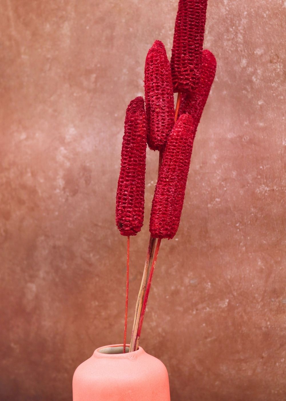 Red Corn bunch with premium quality material