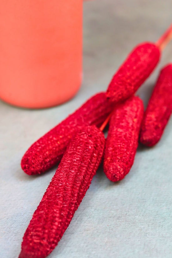 Red Corn bunch handmade in India