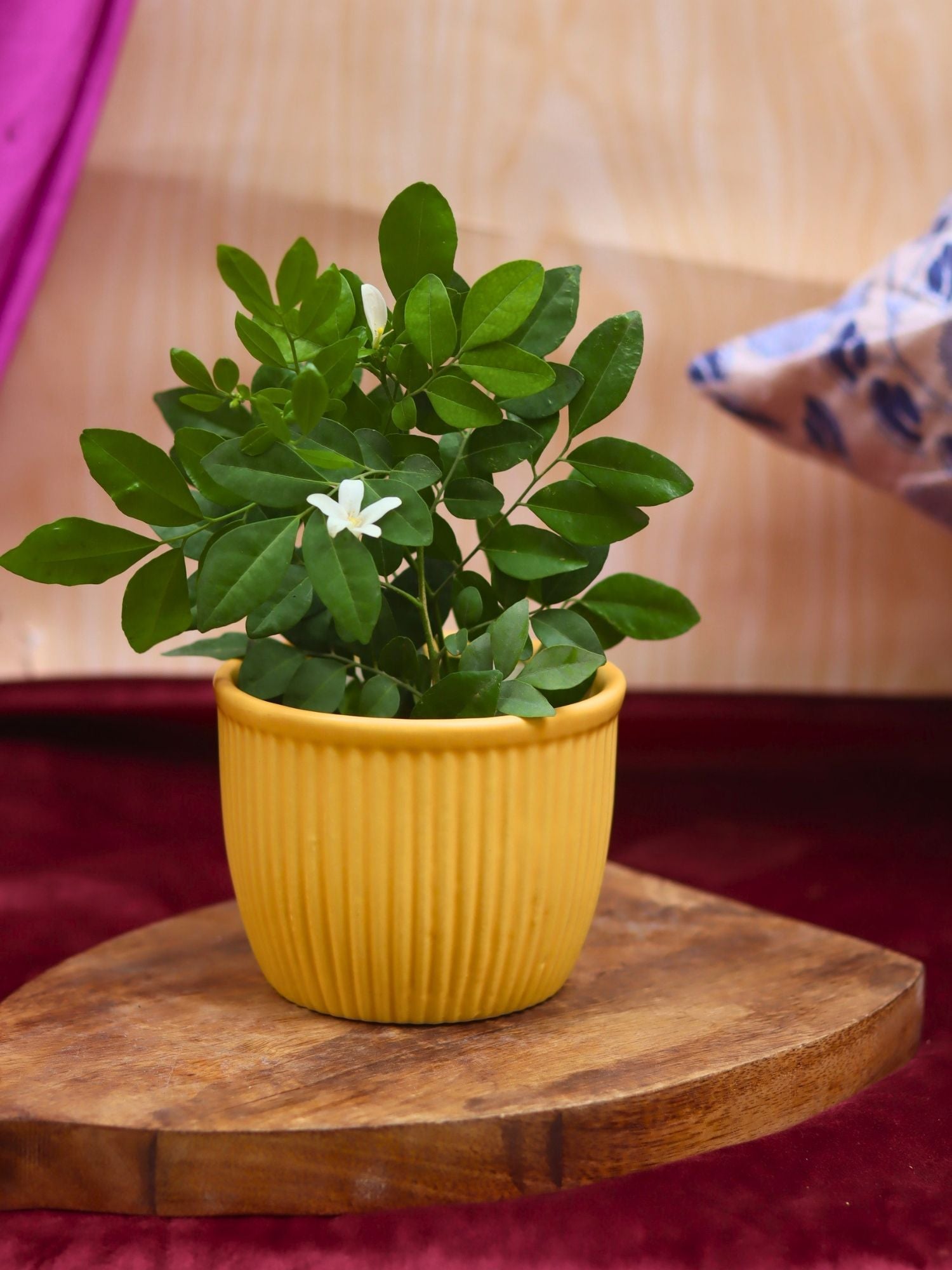 handmade Sunshine Yellow Planter