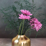 Aurelia brass flower pot with flowers