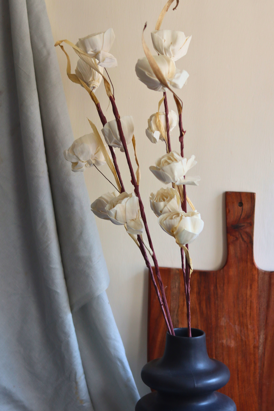 Dried Flowers White Peony Bunch 