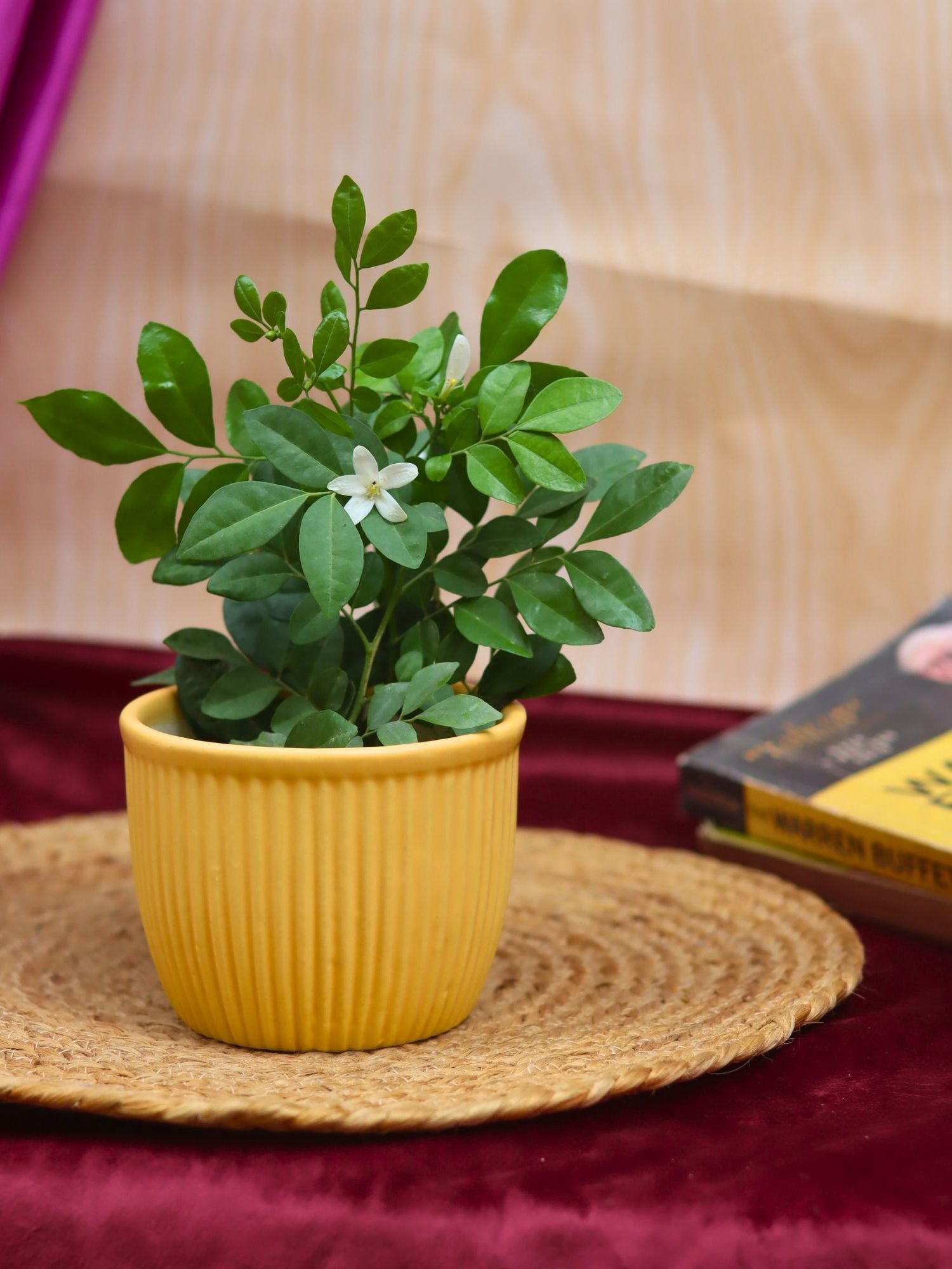 Sunshine Yellow Planter made by ceramic