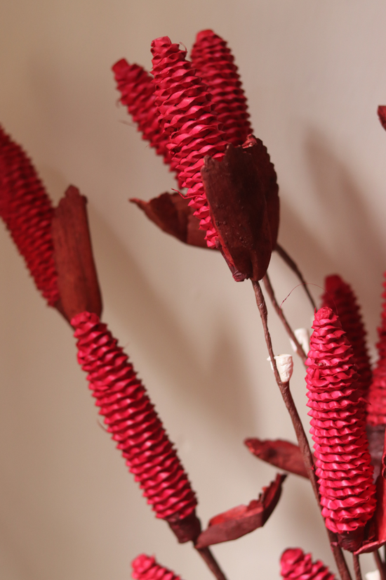 Dried flower bunch red
