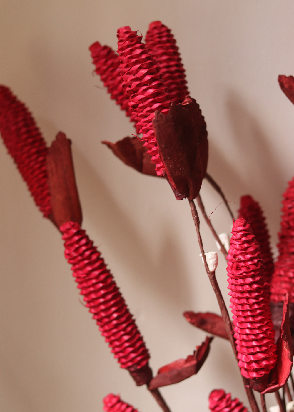 Dried flower bunch red
