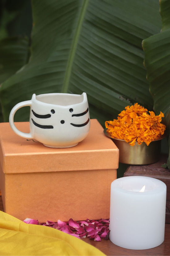 Kitty Mug Diwali Gift Box with premium quality material