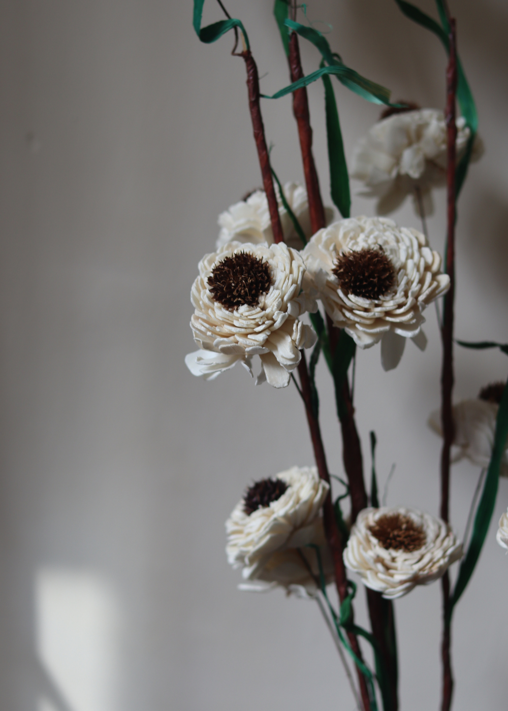 White and brown flower bunch