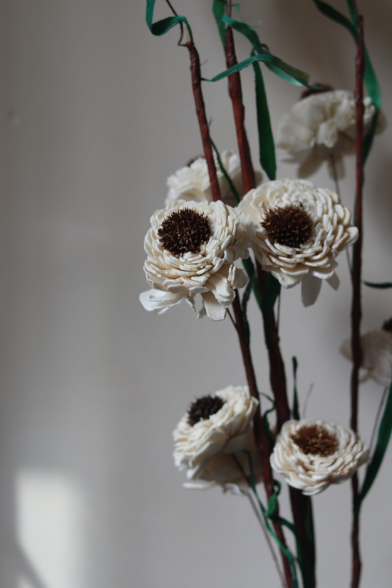 White and brown flower bunch