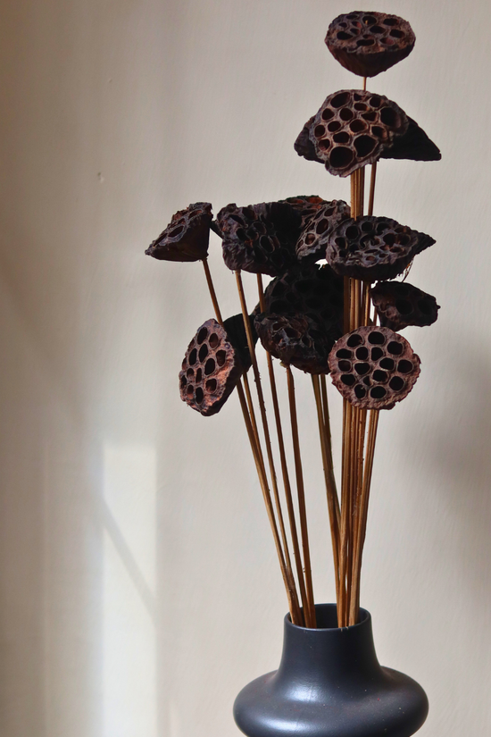 Dried lotus pods bunch 