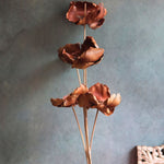 handmade Dried Botanical brown Bunch