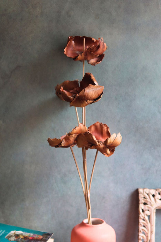 handmade Dried Botanical brown Bunch
