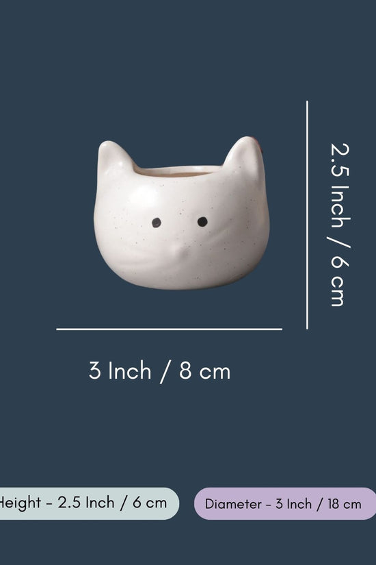 Kitty Planter