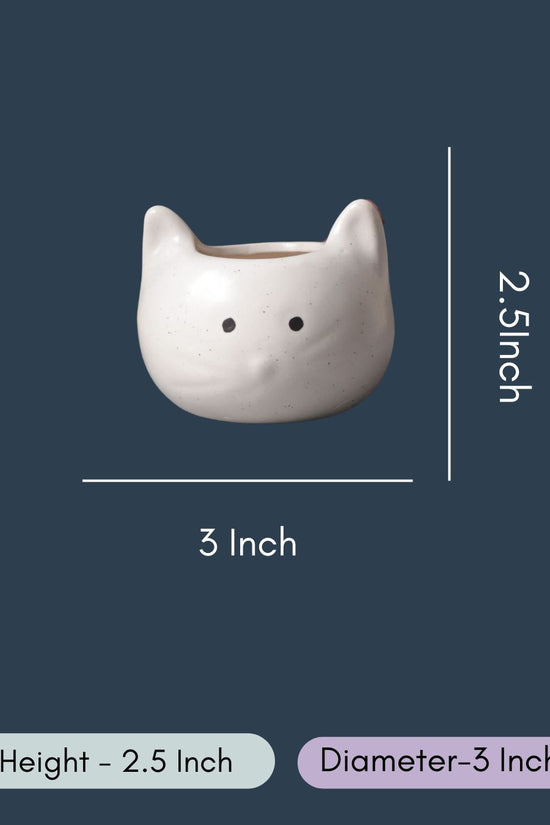 Kitty Planter