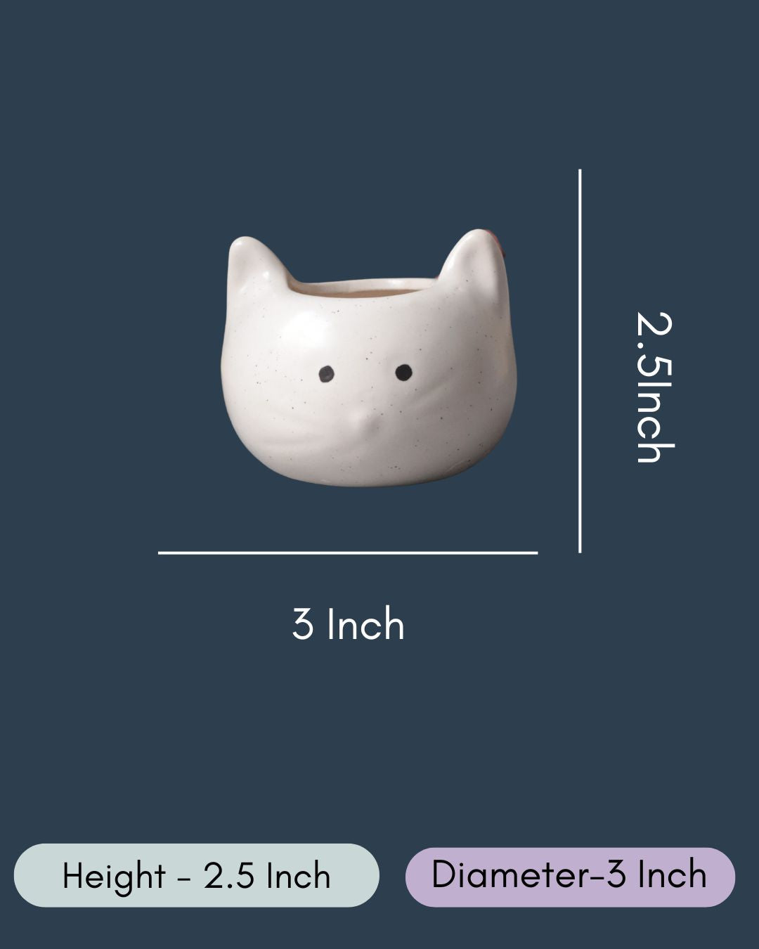 Kitty Planter