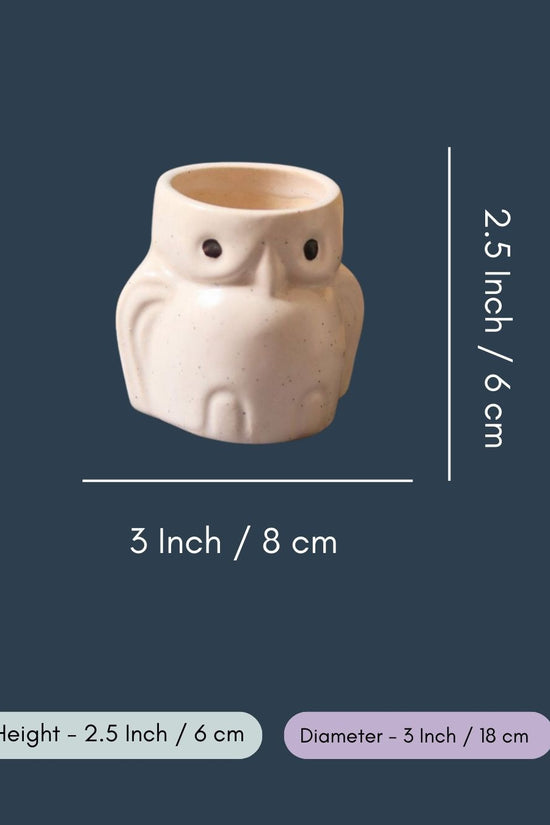Owl Planter