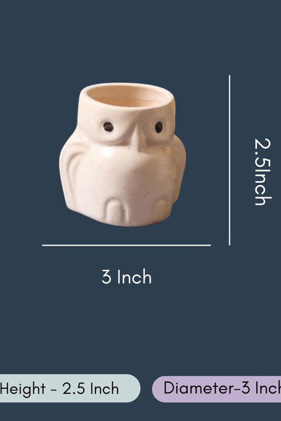 Owl Planter