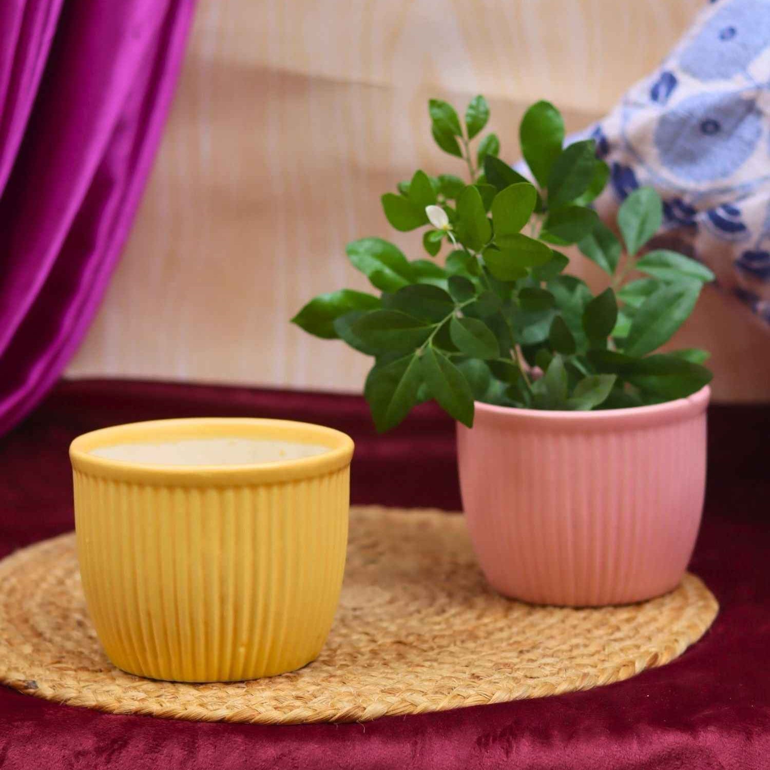 Set of 2 - Mellow Pink & Sunshine Yellow Planters combo