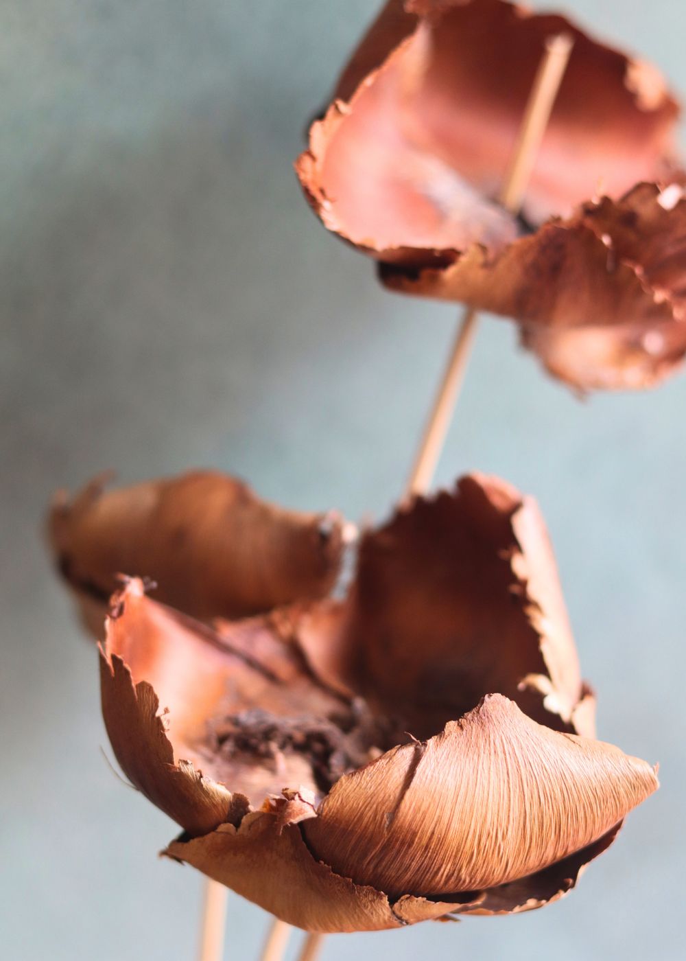 Dried Botanical Brown Bunch handmade in india