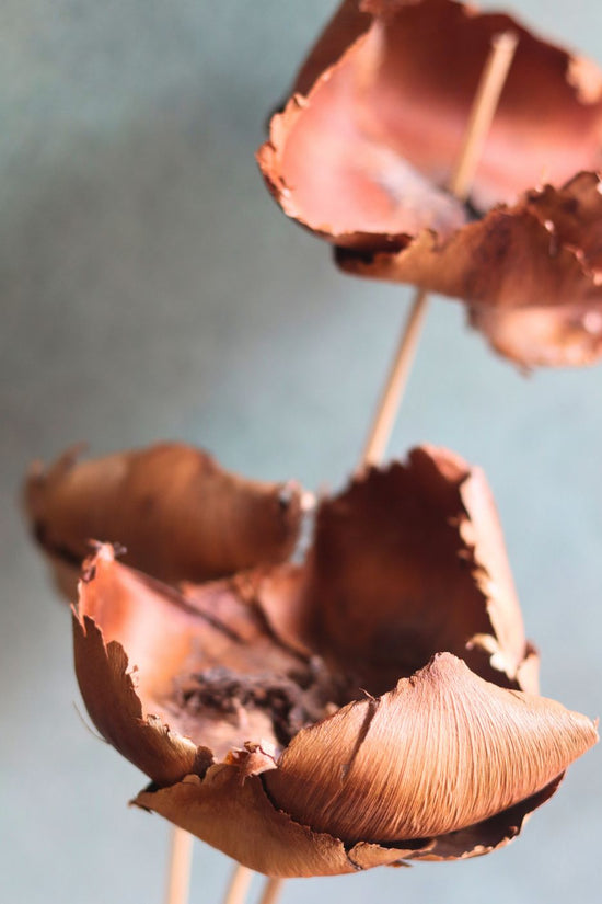 Dried Botanical Brown Bunch handmade in india