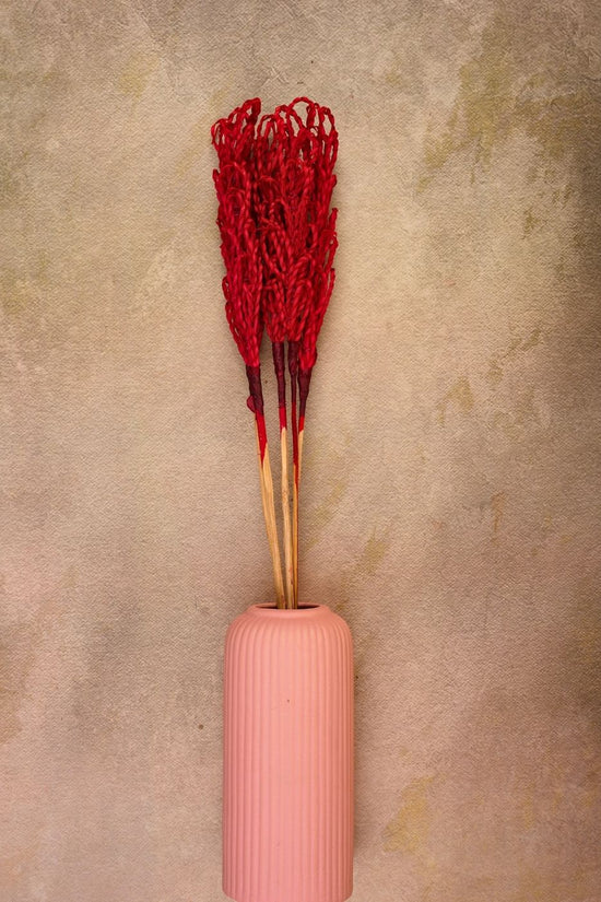 Red Beaded - Bunch