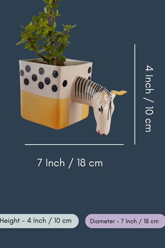 Quirky Horse Planter