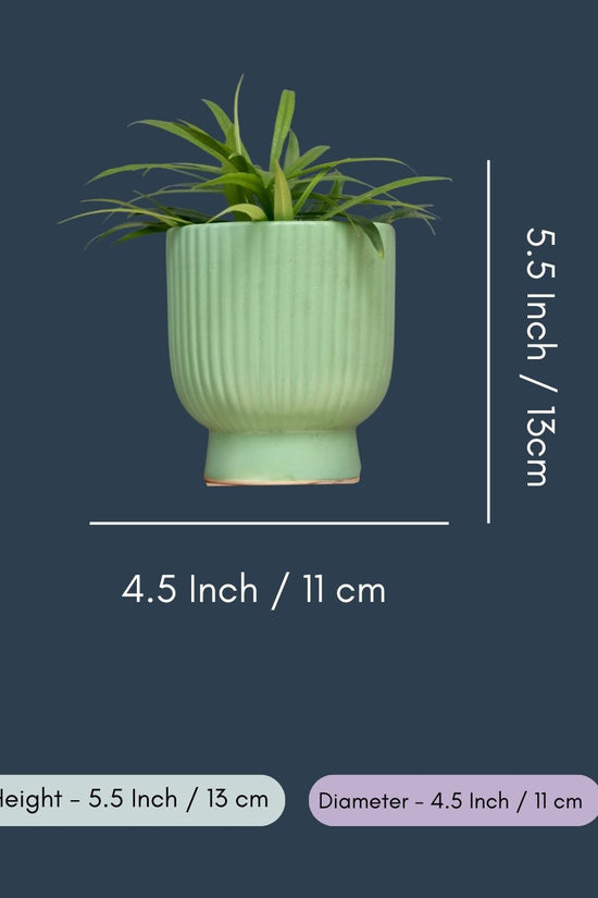 Green Round Lined Planter