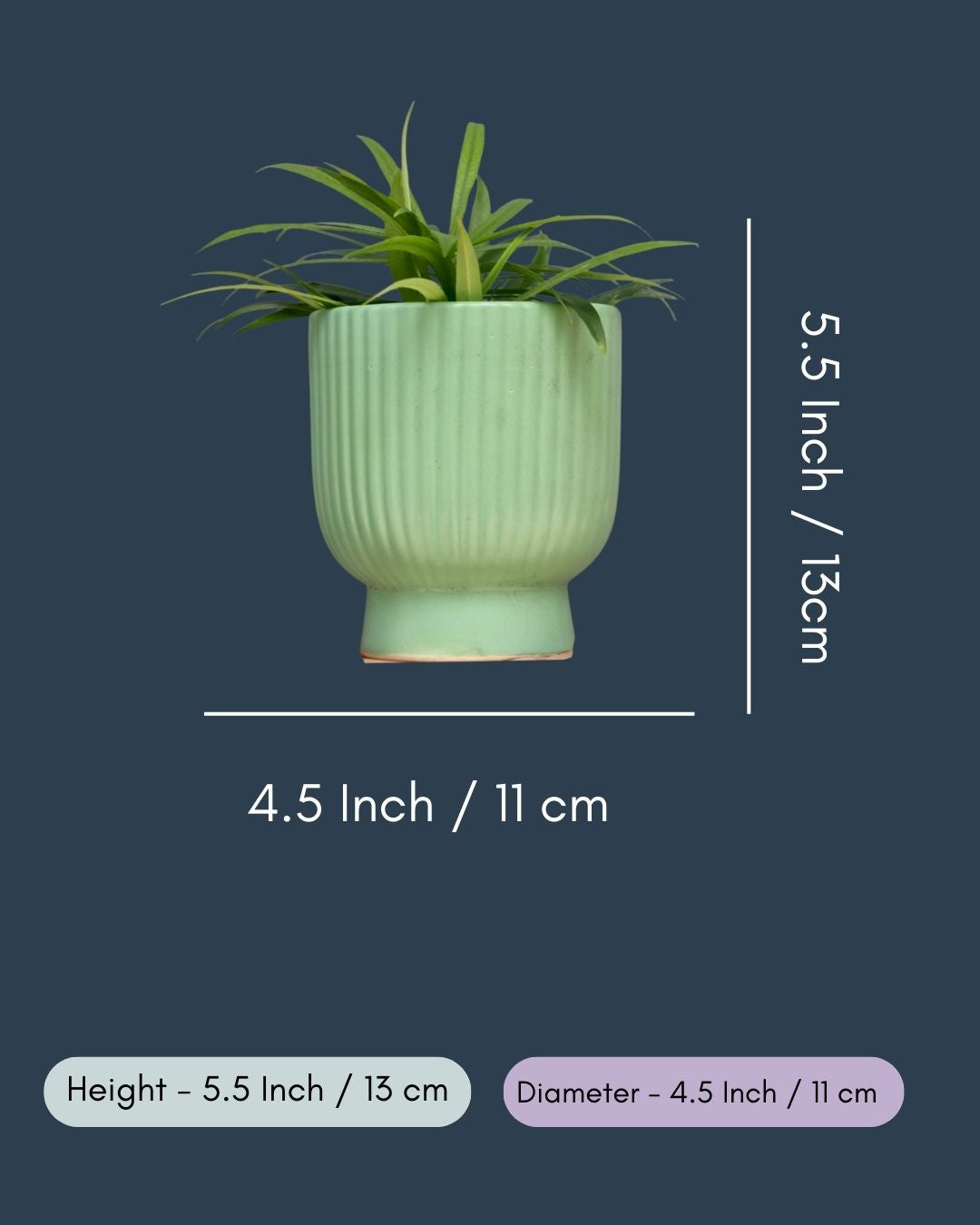 Green Round Lined Planter