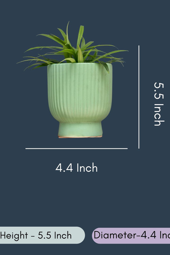 Green Round Lined Planter