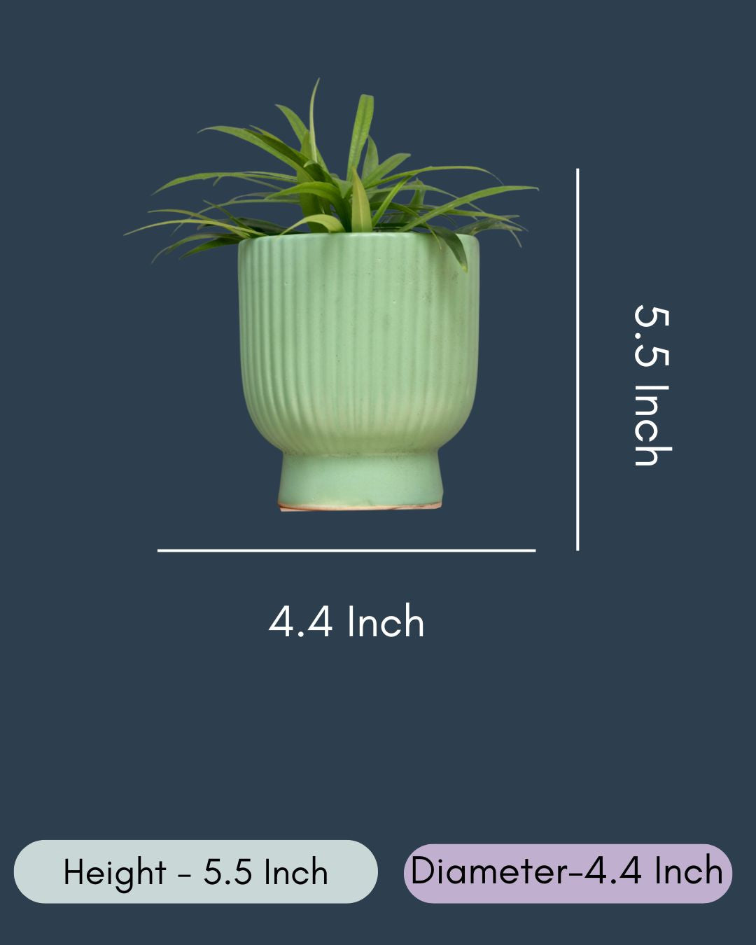 Green Round Lined Planter