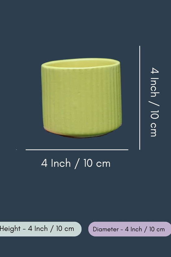 Small Yellow Lined Planter