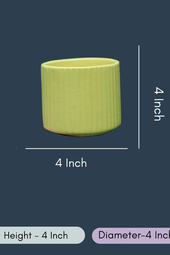 Small Yellow Lined Planter