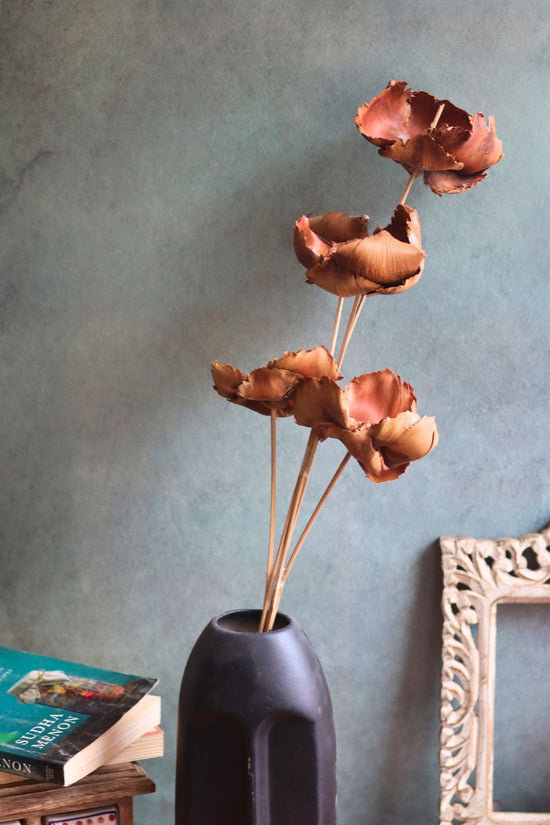 dried Botanical Brown Bunch With premium quality 