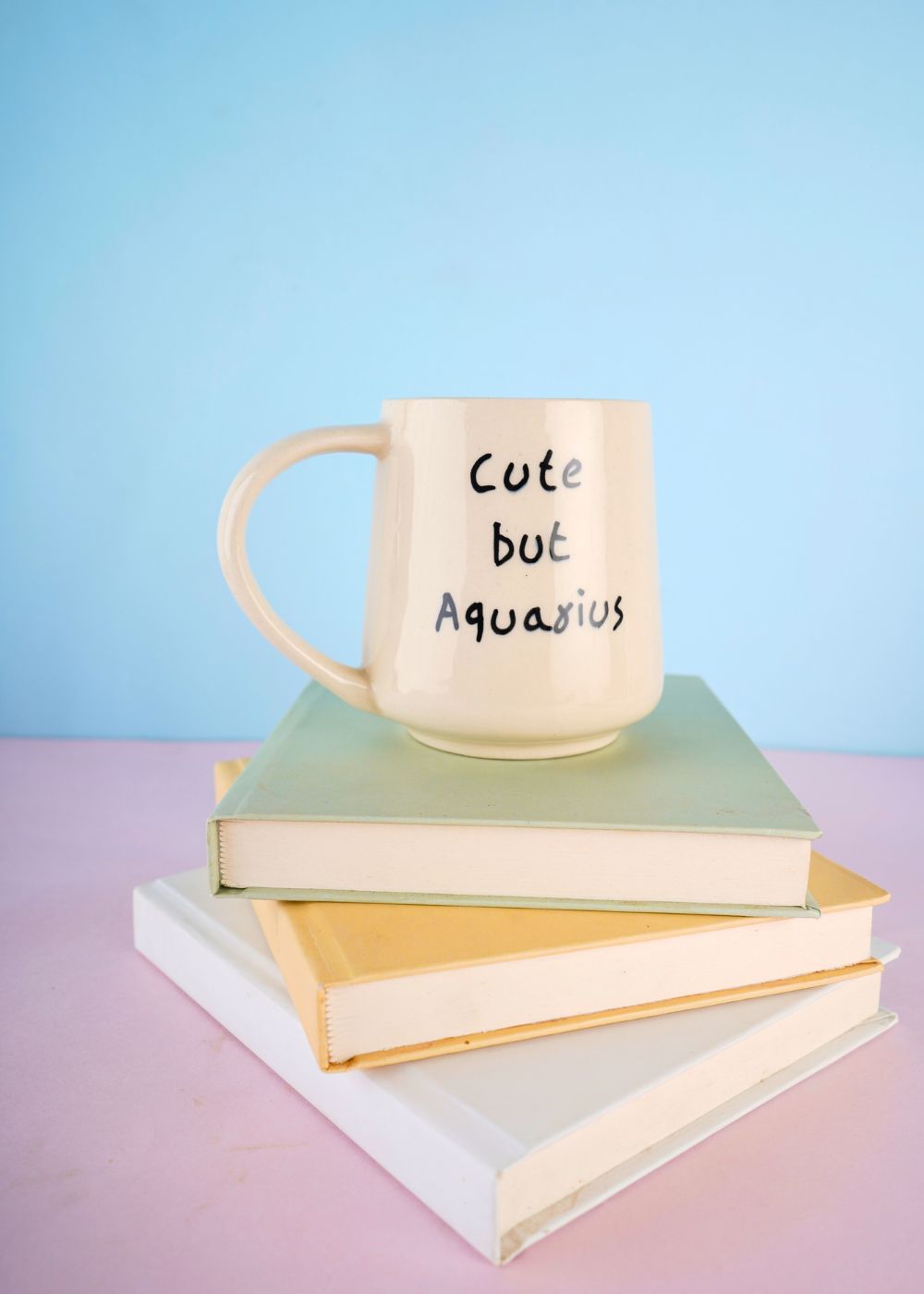 handmade cute but aquarius mug