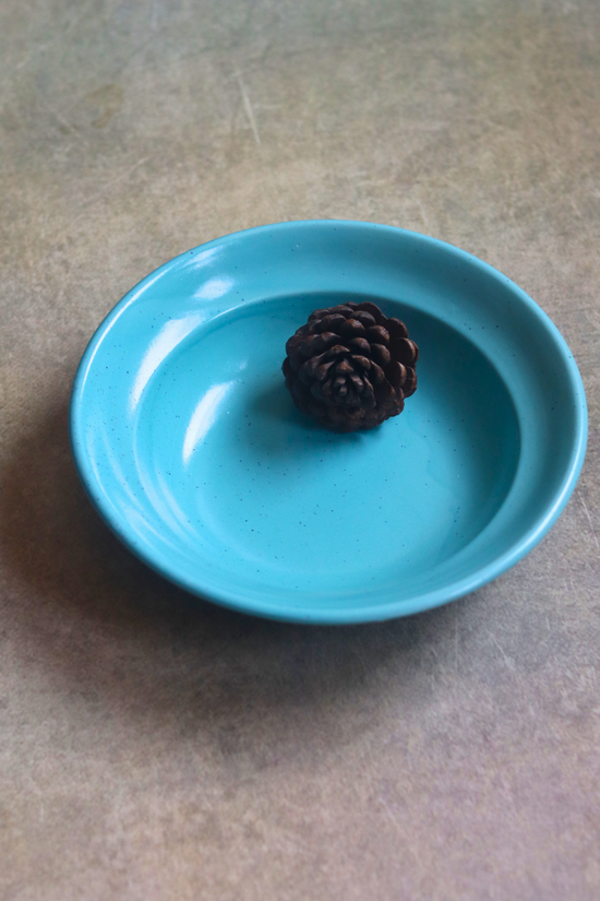 Teal Pasta Plate