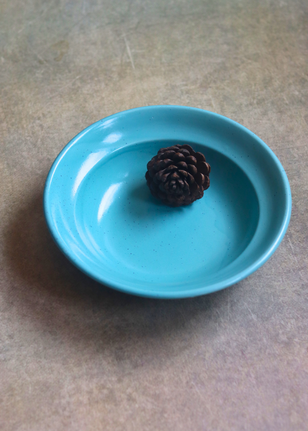 Teal Pasta Plate
