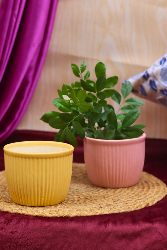 Set of 2 - Mellow Pink & Sunshine Yellow Planters combo made by ceramic