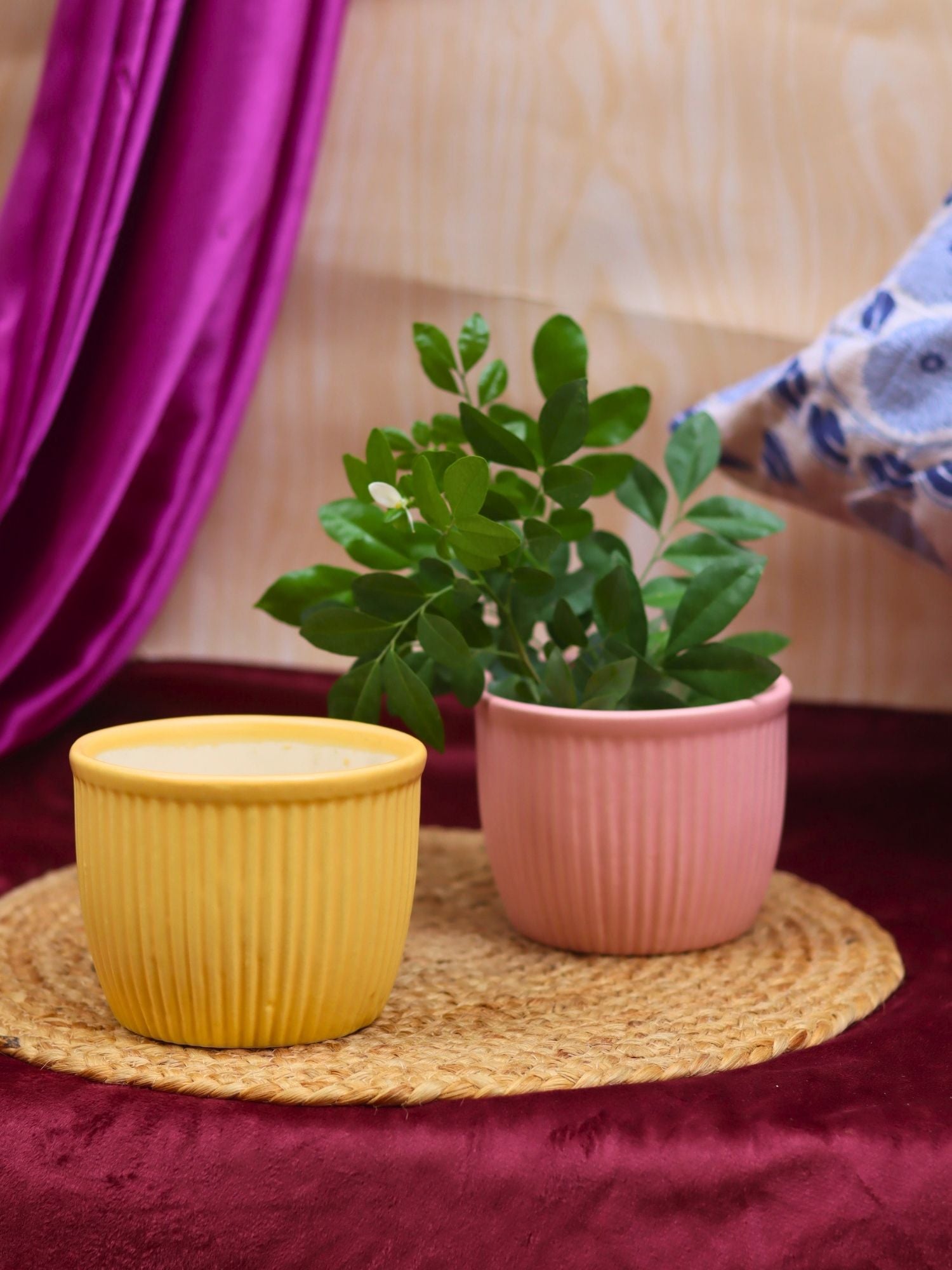 Set of 2 - Mellow Pink & Sunshine Yellow Planters combo made by ceramic