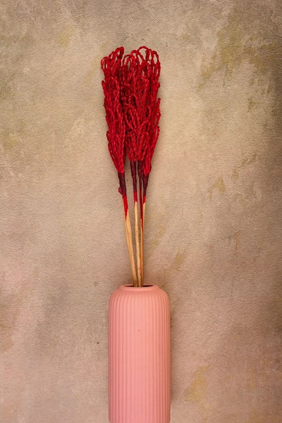 Red Beaded - Bunch