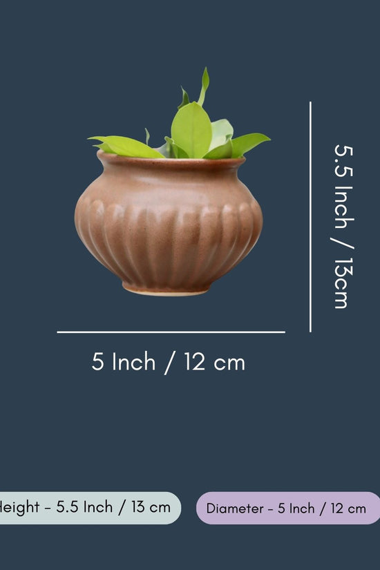 Brown Kalash Planter