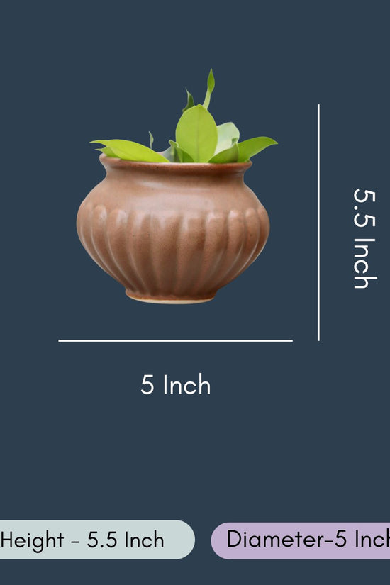 Brown Kalash Planter