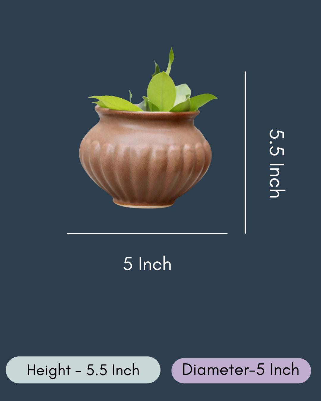 Brown Kalash Planter