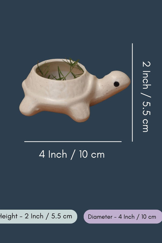 Turtle Succulent Planter