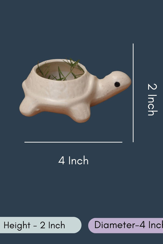 Turtle Succulent Planter