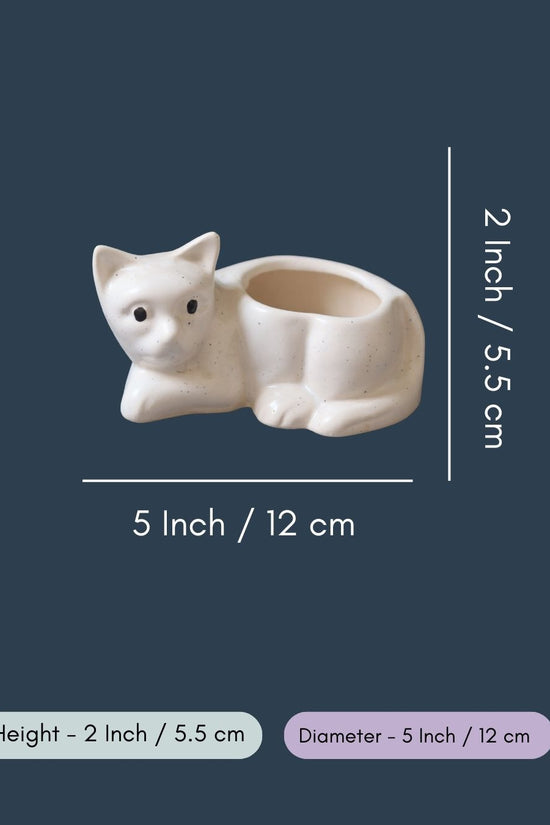 Cat Succulent Planter